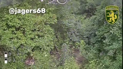 💥🐝 Ukraine Russia War | Ukrainian Dovbush Hornets Strike Russian Mortar | RCF