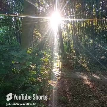 Lucy in the sky with Sunshine 🌄