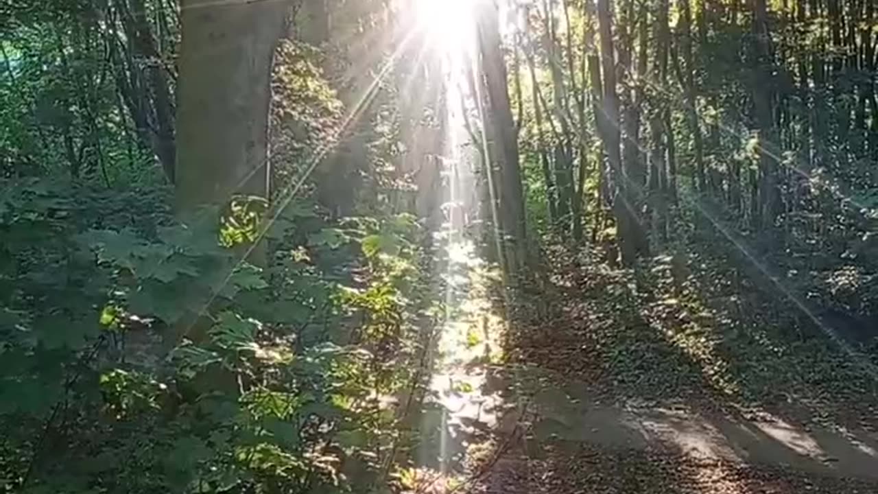 Lucy in the sky with Sunshine 🌄