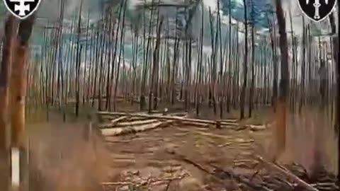 🛸🌲 Ukraine Russia War | SIGNUM Drones Hit Russian Mortar in Lyman | RCF