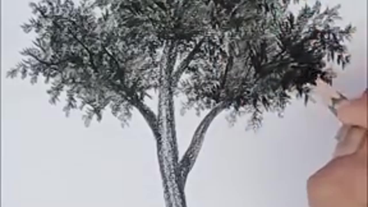 How to draw a tree with pencil step by step.