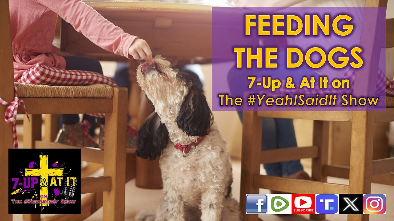 WORD OF THE DAY: MARK 7:27 - FEEDING THE DOGS