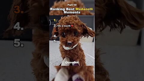 Funniest Medazelli#ranking #medazelli #tiktok