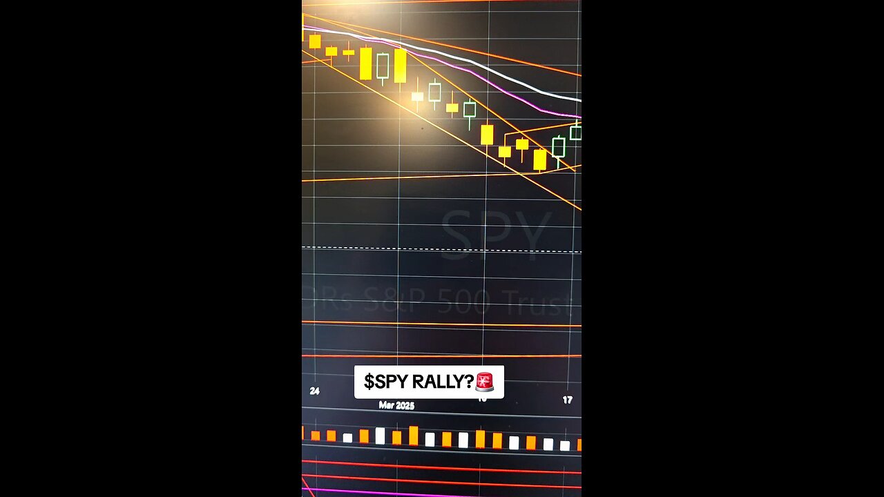 $SPY RALLY?🚨