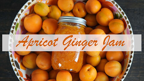 Apricot Ginger Jam Canning Recipe