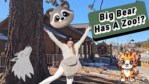 Zoo in Big Bear, California?! Let’s check out this!!