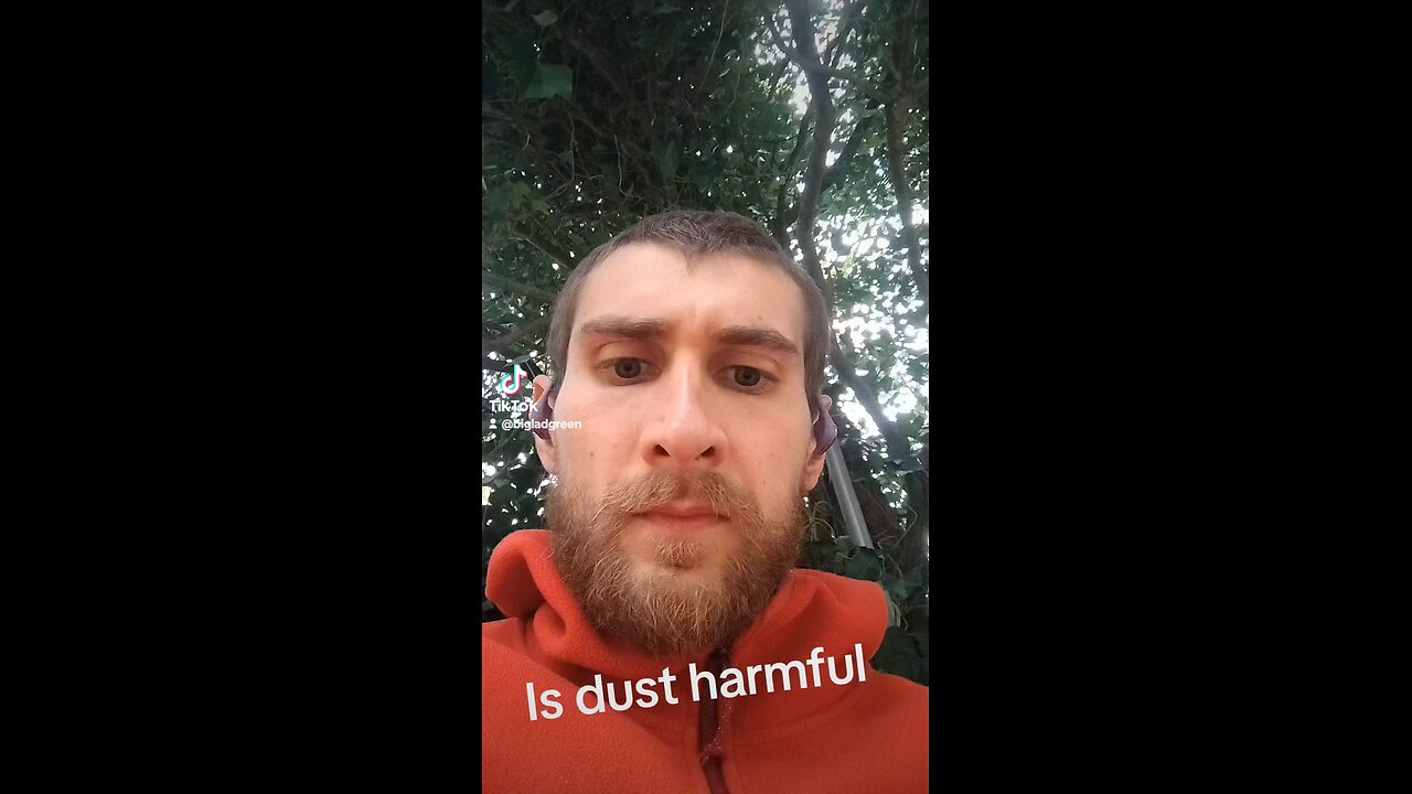 Is dust harmful