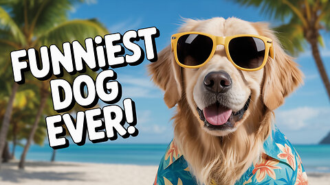 Funniest Animal Videos Ever Part ∞