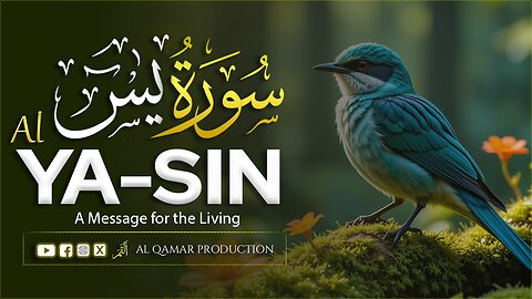 Surah Yaseen Full | Powerful & Heart-Calming Quran Recitation