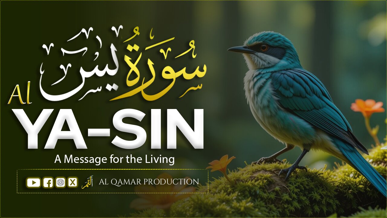 Surah Yaseen Full | Powerful & Heart-Calming Quran Recitation