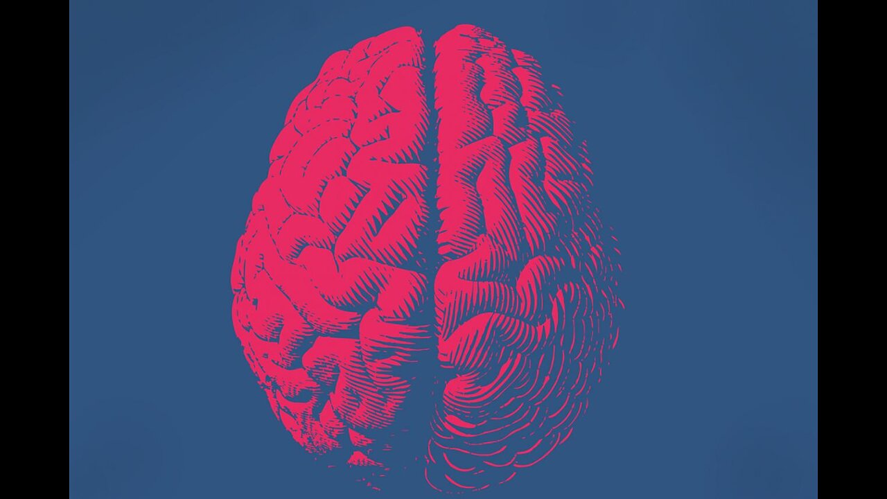 Spaltung durch Ideologie →