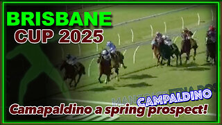 2025 Brisbane Cup | Campaldino, Etna Rosso, Manzoice