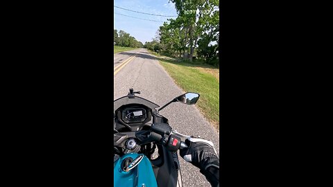 When You Realize You're the NPC on the Highway 😭