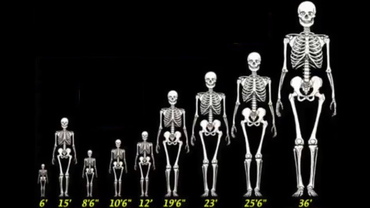 Connecting The Hidden Dots In Plain Sight - Documentary -