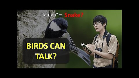 After 20 Years, This Scientist Proved Birds Can Talk and Use Grammar
