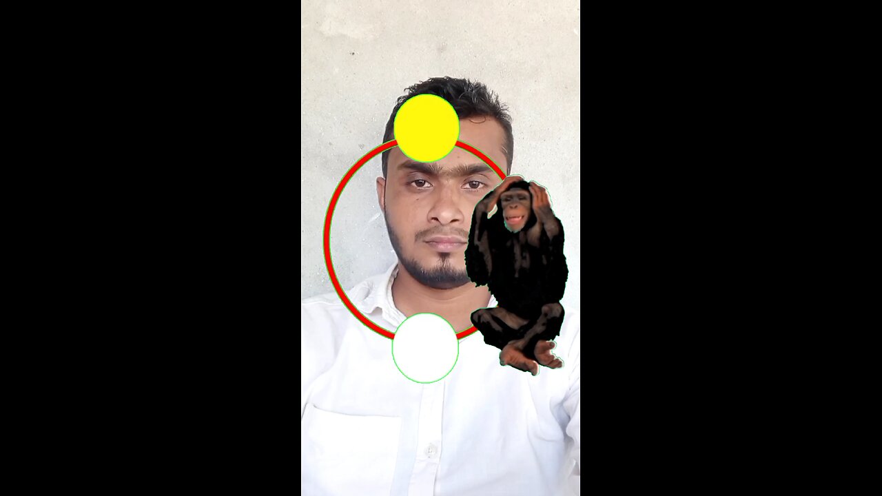 বানরটি দাঁড় করিয়ে দেখান #Amazing #puzzle #vairalreels #virals #reels #shorts