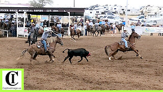 12.5 Team Roping 2nd Go Part 1 - 2024 Spicer Gripp Memorial Roping