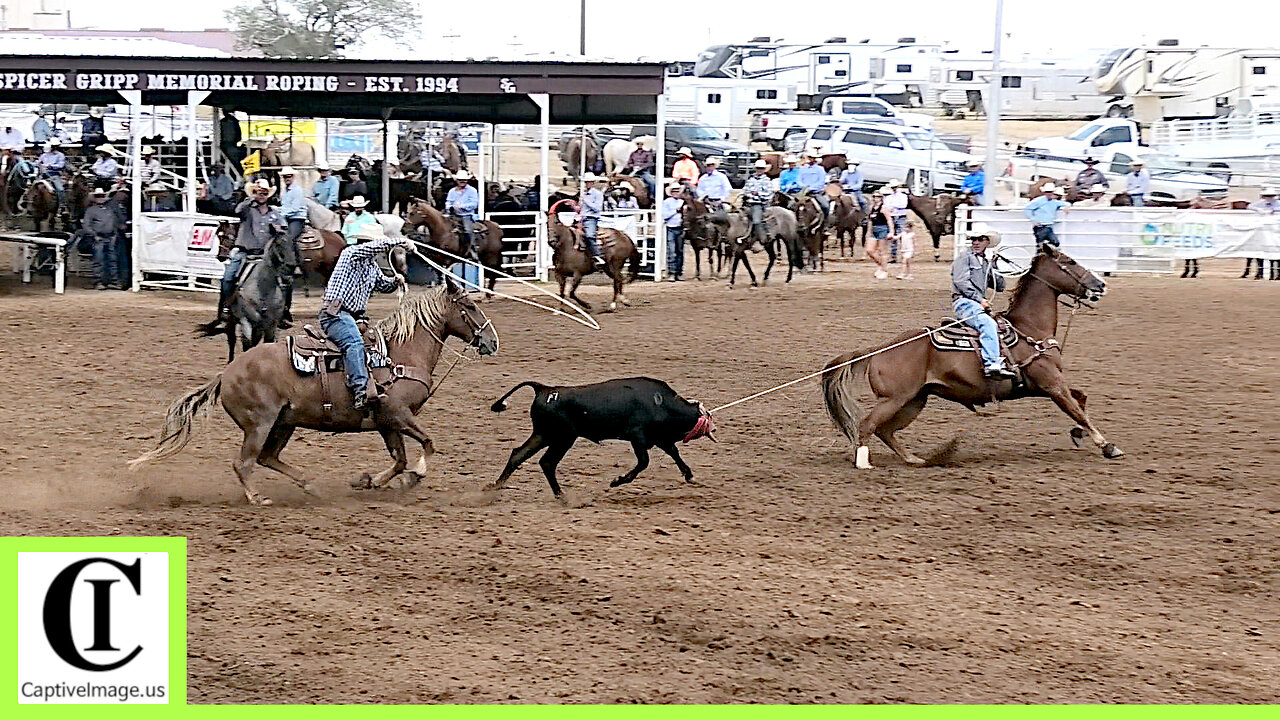 12.5 Team Roping 2nd Go Part 1 - 2024 Spicer Gripp Memorial Roping