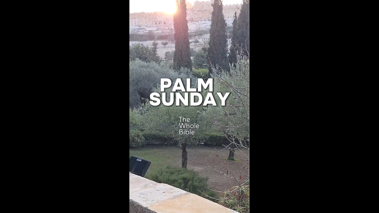 See Where Jesus Entered Jerusalem for His Tiumphal Entry