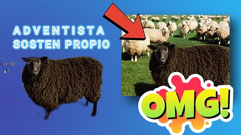 La iglesia adventista de sosten propio son adventistas o no ?