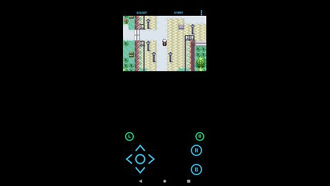 Pokémon Royal Sapphire part 2| Leveling