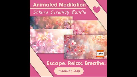 🌸Sakura Serenity Bundle • Therapeutic Meditation Relaxation Stress-Relief Low Stim 4K Ambient Calm