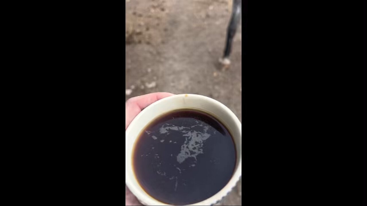 Dip & Sip E5 What do Genesis 31, Geronimo, and Yale all have in common?