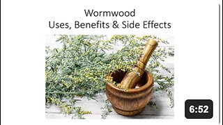 Wormwood - Uses, Benefits & Side Effects