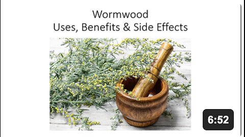 Wormwood - Uses, Benefits & Side Effects