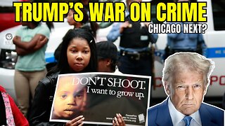 CHICAGO Residents Demand TRUMP’s National Guard as 350 Murders Terrifies CITY