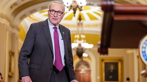 Top Democrat Admits It - Schumer Is ‘Terrified’