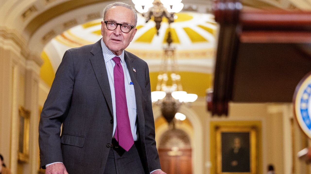 Top Democrat Admits It - Schumer Is ‘Terrified’