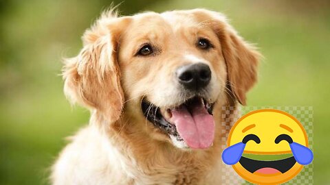 “Dog Orders Pizza on Phone 😂 | Funny Animal Video