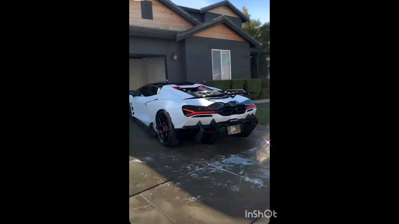 Monaco billionaire's