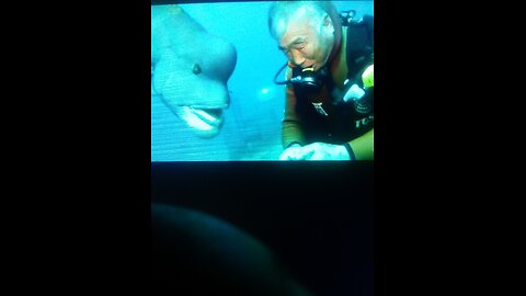 Consciousness In Fish