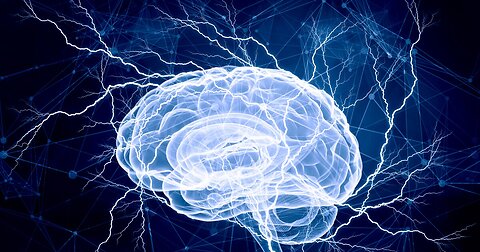 Behavioural Plasticity: Vive La Liberté?