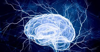 Behavioural Plasticity: Vive La Liberté?