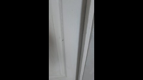 Along Came A Spider