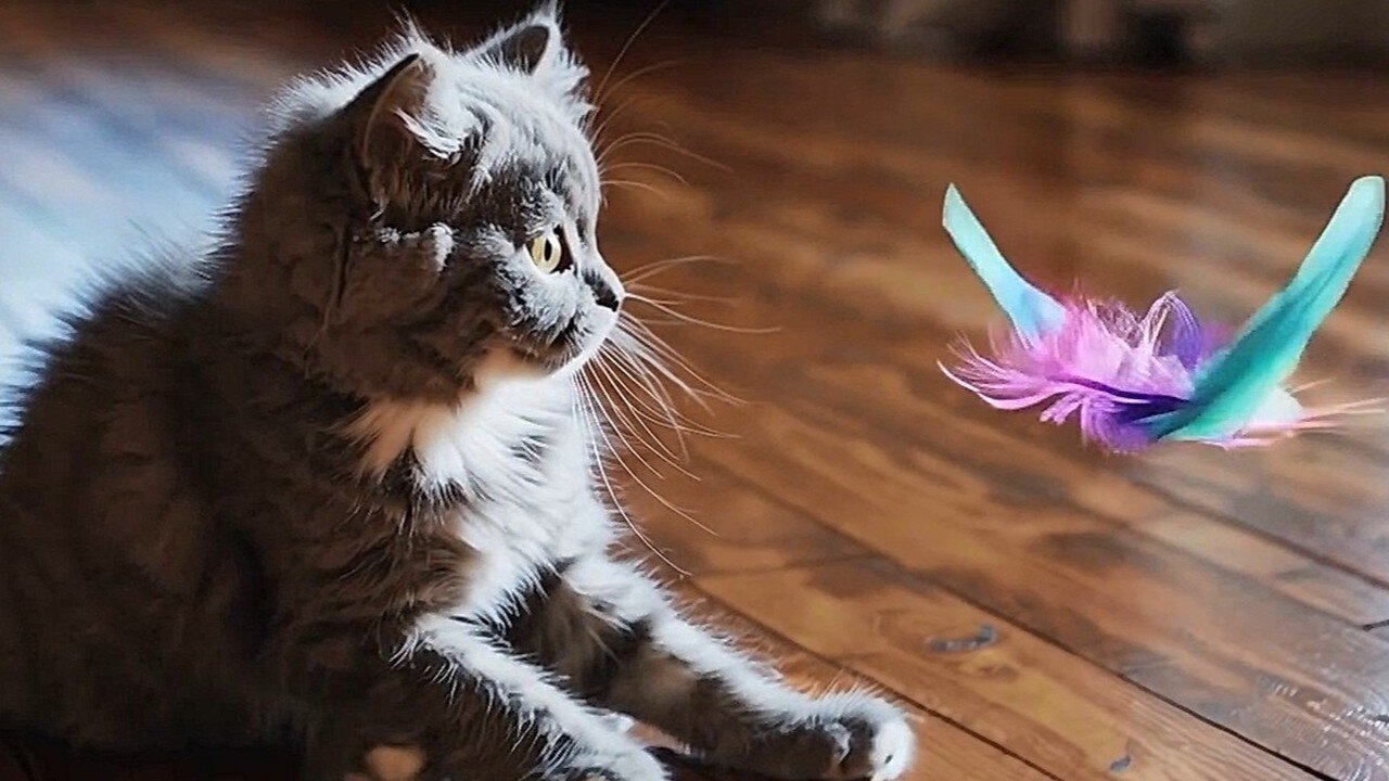 AI Kitten Discovers the World – Curtain, Vacuum, Feather, Bubbles & More 🐾