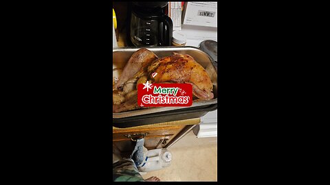 My First time Making a Christmas Turkey! Recipe included in video