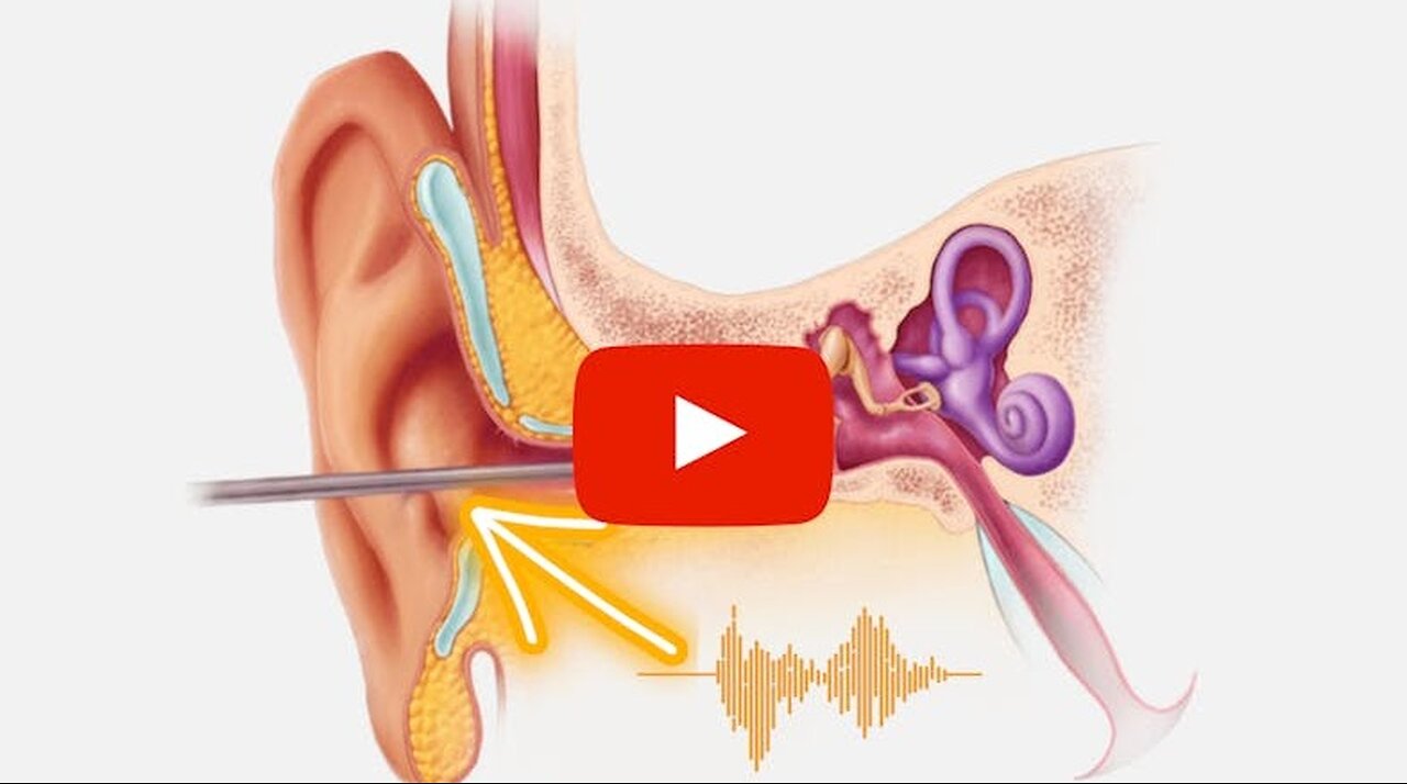 Top Neuroscientists : This DIY Method Mutes Ear Ringing And Sharpens Memory