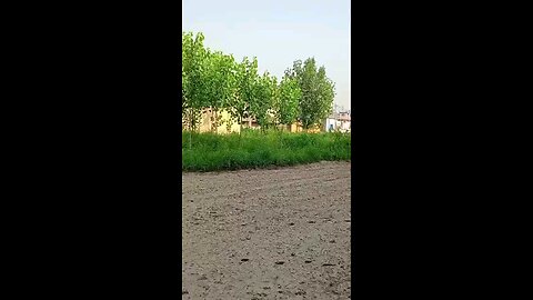 satisfying Video