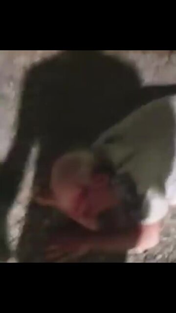 Los inmigrantes atacan y humillan a un anciano español