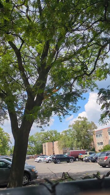 Branches May Break in a STORM. #GodsGotYou #stormtrooper #growing