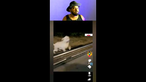 trynottolaugh part 32