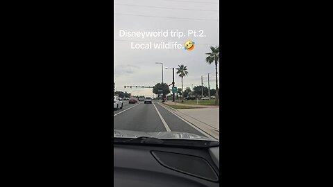 Disney Trip. Fentanyl Fiend spotted.