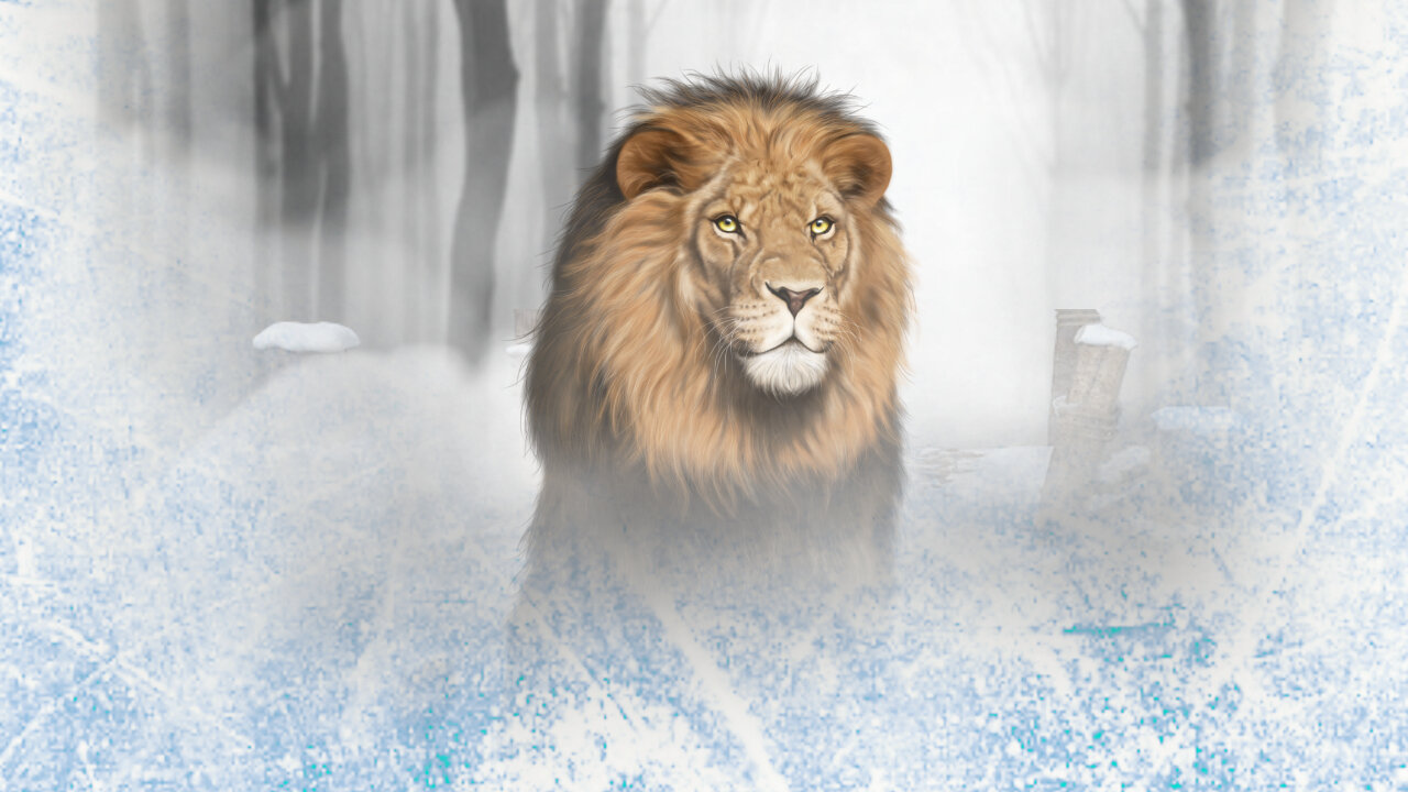 Netflix's Narnia: A Modern Disaster?