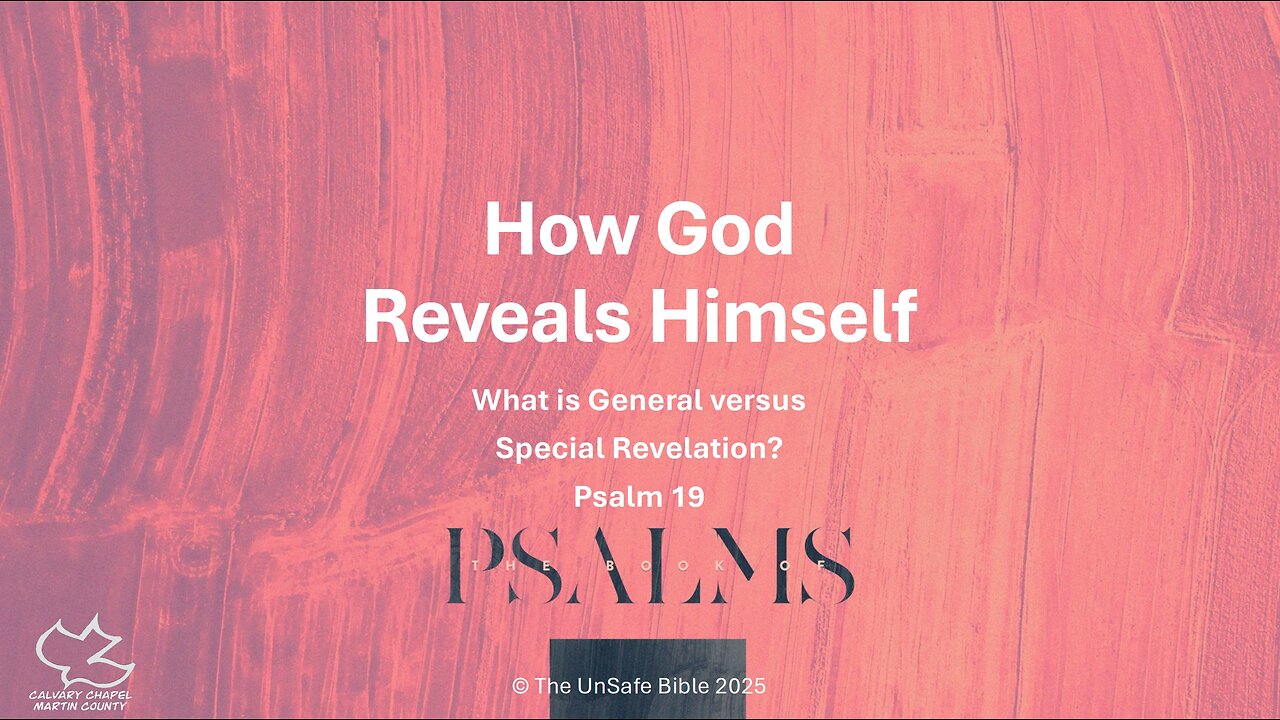 Psalm 19 How God Reveals Himself