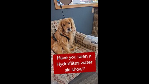 Have you seen a Hydroflites water ski show?