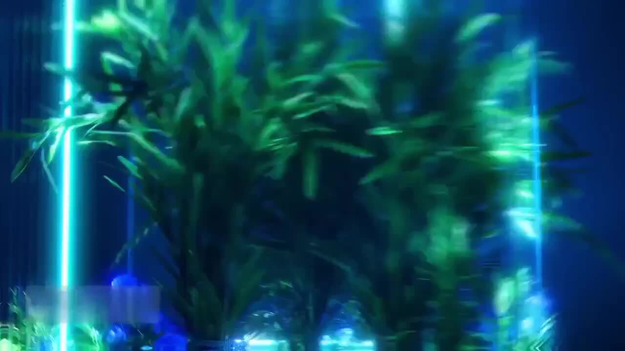 Late Night Test Stream
